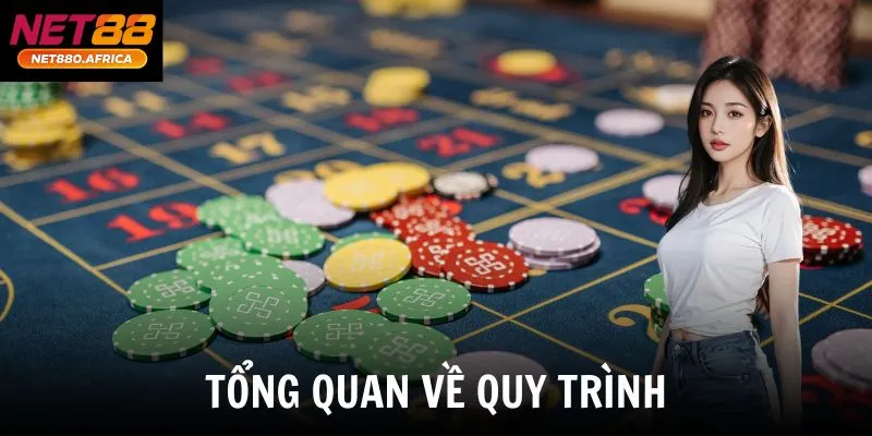 Tổng quan về quy trình